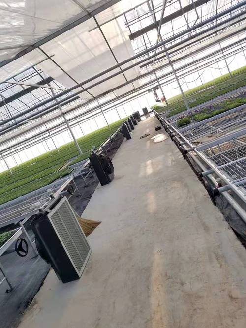 自有资金投资与资产管理 企业经营范围背后的战略思维
